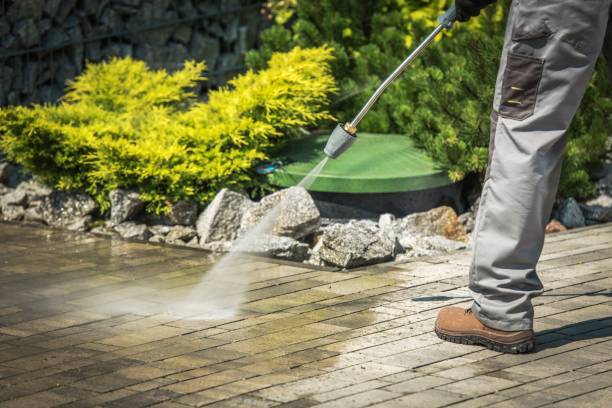 Best Pre-Holiday Cleaning  in Audubon Park, NJ